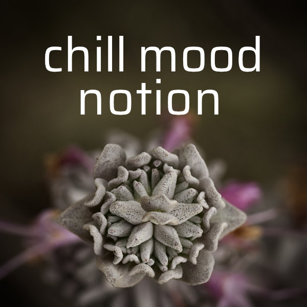 Chill Mood Notion Album