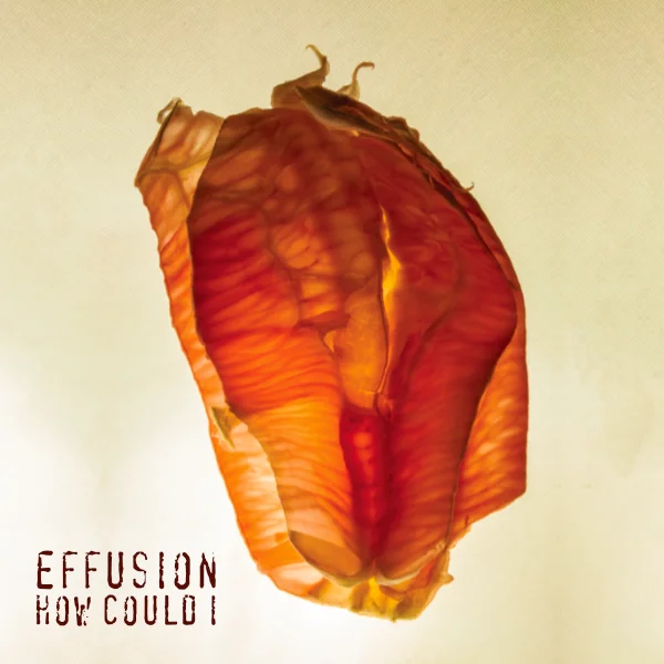 How Could I, Single, Effusion