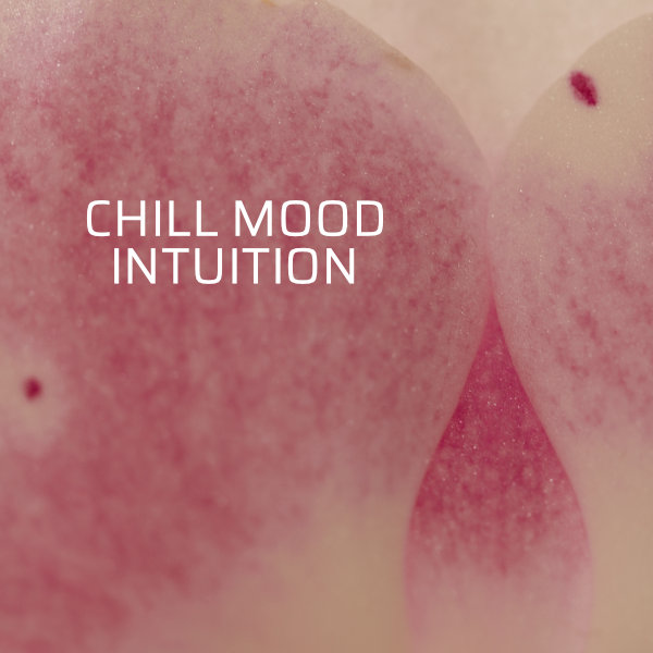 Chill Mood Intuition Single